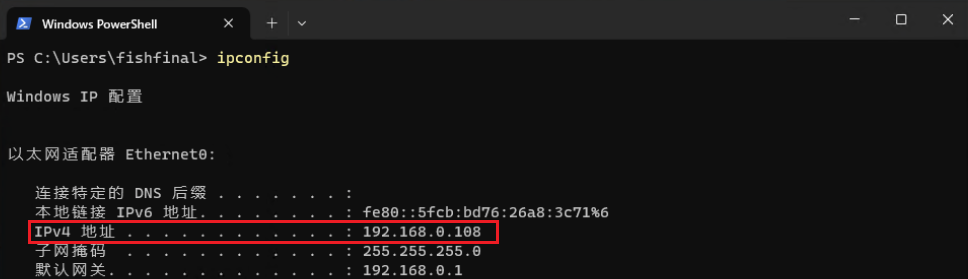 ipconfig 输出