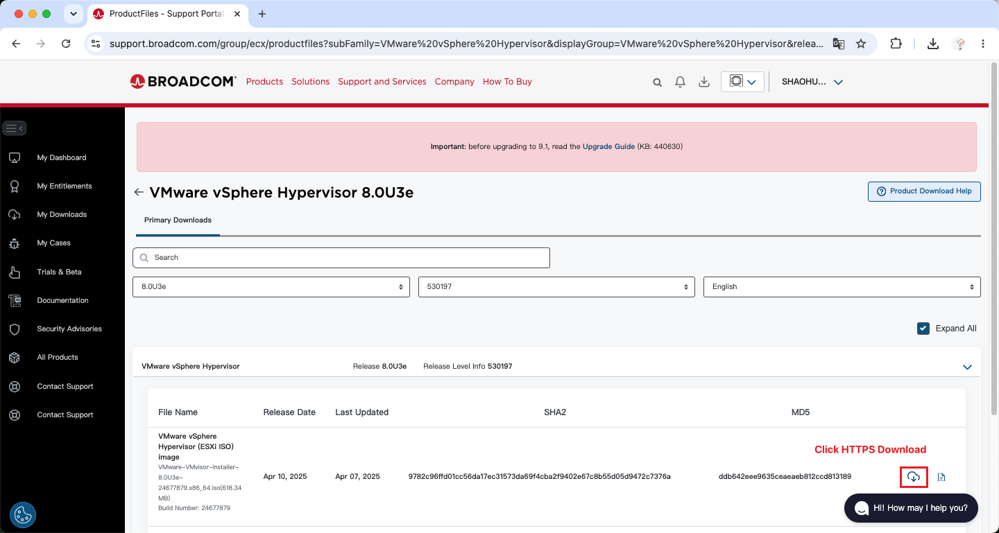 点击 HTTPS Download 下载 ISO 镜像